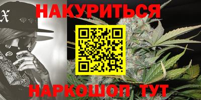 мдпв Пугачёв