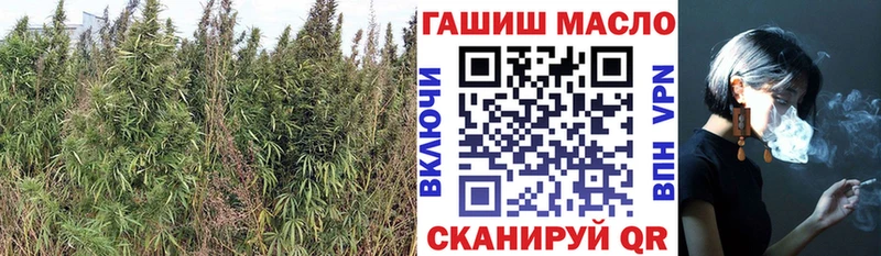 MEGA ссылки  Черемхово  Дистиллят ТГК Wax 