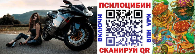 Псилоцибиновые грибы MAGIC MUSHROOMS  закладка  Черемхово 